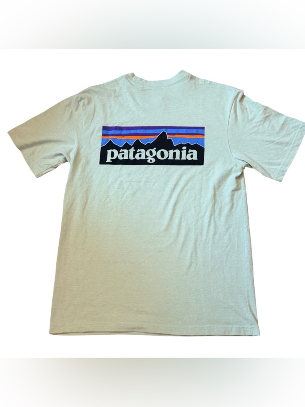 Patagonia Responsibili-Tee Light Green Men’s Small 🌏